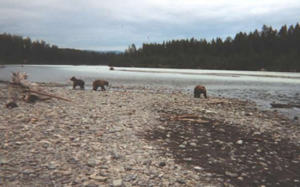 Fishbone Charters - World Class Guided Fishing in Talkeetna, Alaska